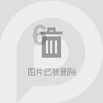 哥特舰队